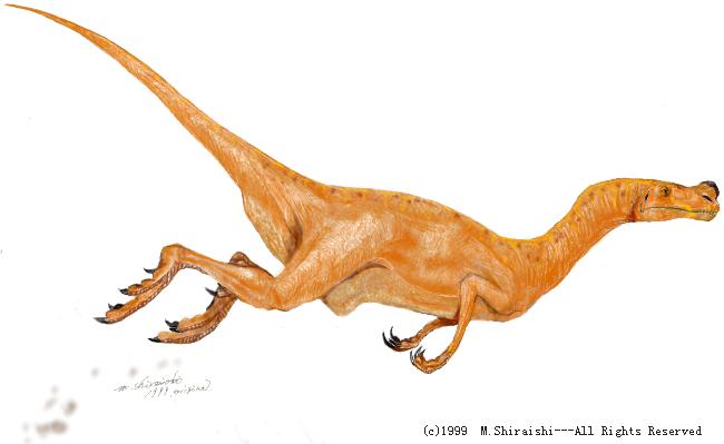 ornitholestes