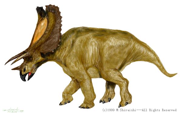 Pentaceratops